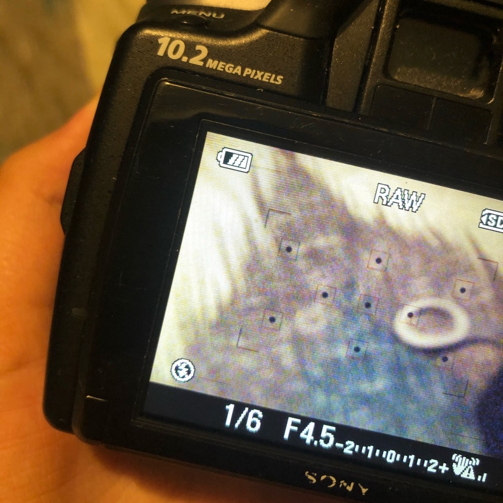 SOLD - Picture 5 of 8